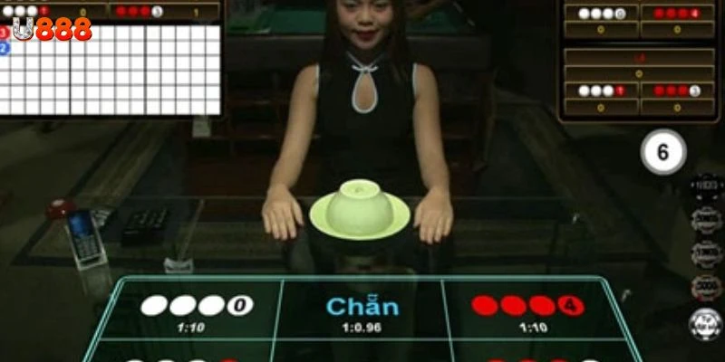 Khám phá cơ bản về xóc đĩa và tiếng xóc