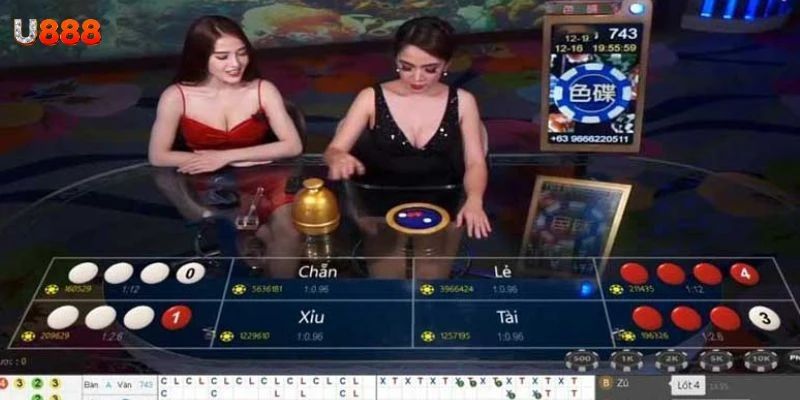 Cách áp dụng nghe tiếng xóc đĩa hiệu quả