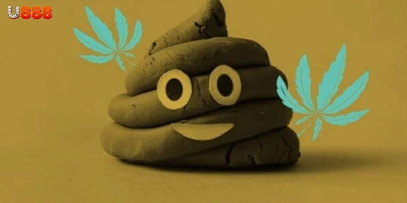 Giải mã giấc mơ thấy cứt theo từng hoàn cảnh cụ thể