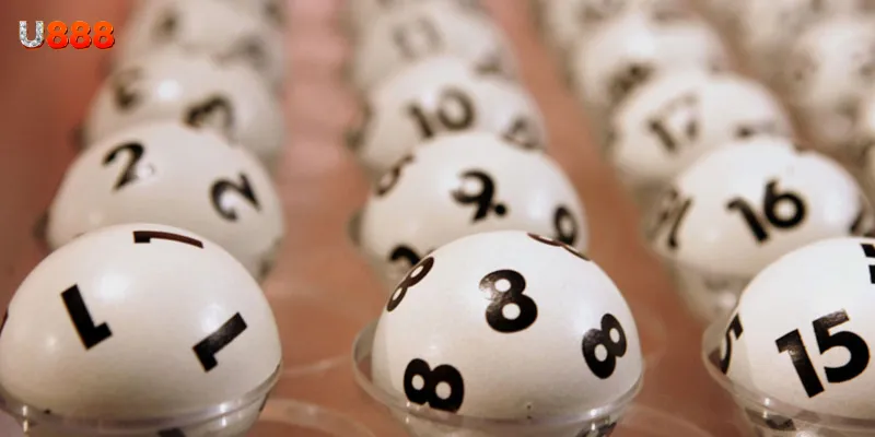 Bí quyết nuôi lô song thủ khung 5 ngày